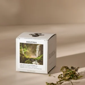 Cube vapeur - Forêt tropicale