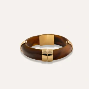 Jonc Adrien Tortue