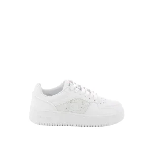 CHAMPION Baskets