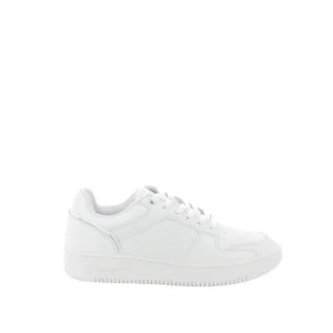 CHAMPION Baskets